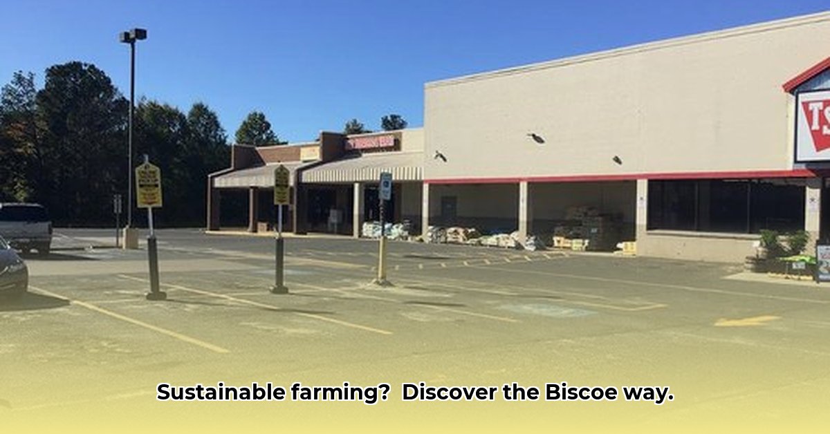 biscoe-tractor-supply